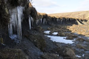 Seminar – 8 May – The Effects of Environmental Controls on Epigenetic Ice-Wedge Cracking.