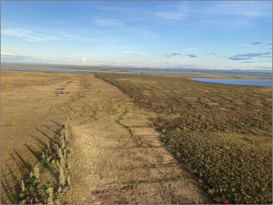 Seminar – 12 February – Post-Drainage Evolution of Wolverine Lake, Old Crow Flats, Yukon.